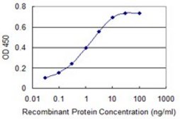 ANTI-KIT antibody produced in mouse clone 1G1, purified immunoglobulin, buffered aqueous solution