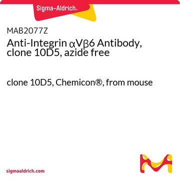 Anti-Integrin &#945;V&#946;6 Antibody, clone 10D5, azide free clone 10D5, Chemicon&#174;, from mouse