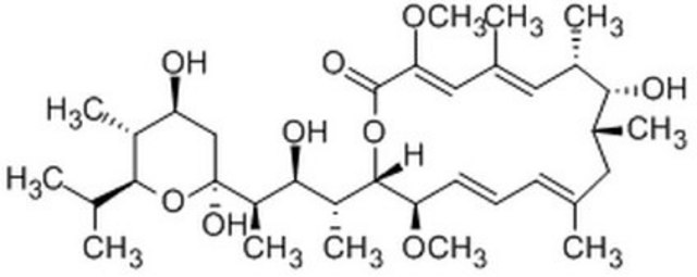 巴弗洛霉素A1 InSolution, &#8805;90%, A macrolide antibiotic that acts as a specific inhibitor of vacuolar-type H+-ATPase