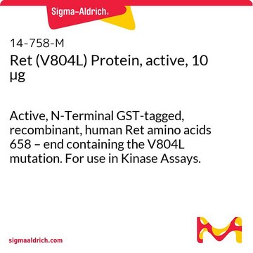 Ret (V804L) Protein, active, 10 &#181;g Active, N-Terminal GST-tagged, recombinant, human Ret amino acids 658 &#8211; end containing the V804L mutation. For use in Kinase Assays.