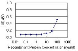 Monoclonal Anti-GTF2H4, (C-terminal) antibody produced in mouse clone 4F6, purified immunoglobulin, buffered aqueous solution