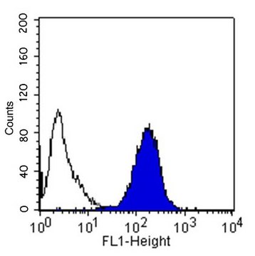 Anti-Integrin &#945;5&#946;1 Antibody, clone JBS5 ascites fluid, clone JBS5, Chemicon&#174;