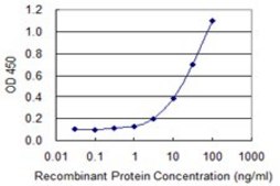 Monoclonal Anti-CLDN16, (N-terminal) antibody produced in mouse clone 1F2, purified immunoglobulin, buffered aqueous solution