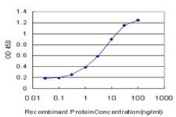 Monoclonal Anti-NPY1R antibody produced in mouse clone 2G2, purified immunoglobulin, buffered aqueous solution