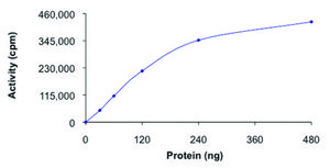 MLK1 (1-433), active, GST tagged human PRECISIO® Kinase, recombinant, expressed in baculovirus infected Sf9 cells, ≥70% (SDS-PAGE), buffered aqueous glycerol solution