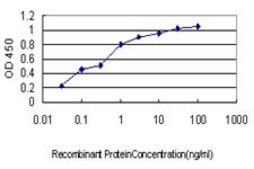 Monoclonal Anti-CDSN antibody produced in mouse clone 6F11, purified immunoglobulin, buffered aqueous solution