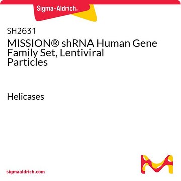 MISSION&#174; shRNA Human Gene Family Set, Lentiviral Particles Helicases