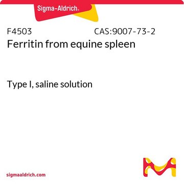 铁蛋白 来源于马脾脏 Type I, saline solution