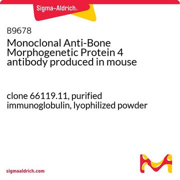 Monoclonal Anti-Bone Morphogenetic Protein&#160;4 antibody produced in mouse clone 66119.11, purified immunoglobulin, lyophilized powder