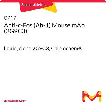 Anti-c-Fos (Ab-1) Mouse mAb (2G9C3) liquid, clone 2G9C3, Calbiochem&#174;