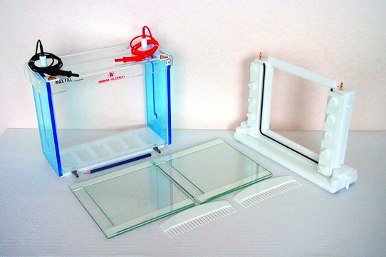 Dual plate vertical electrophoresis unit Plain Glass Plates