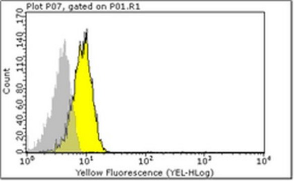 Anti-CD3 gamma delta (HMT3-2) Antibody, clone Ham25-1157 clone Ham25-1157, from hamster