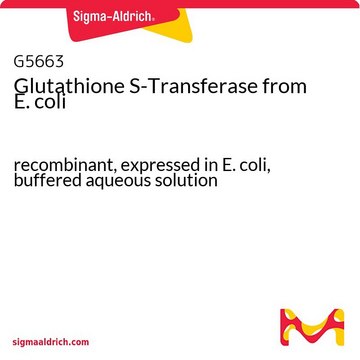 谷胱甘肽S-转移酶 来源于大肠杆菌 recombinant, expressed in E. coli, buffered aqueous solution