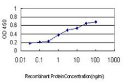 Monoclonal Anti-NANS antibody produced in mouse clone 3G6, purified immunoglobulin, buffered aqueous solution
