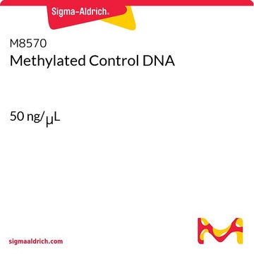 Methylated Control DNA 50&#160;ng/&#956;L