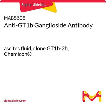 抗-GT1b神经节苷脂抗体 ascites fluid, clone GT1b-2b, Chemicon&#174;