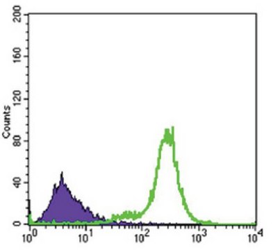 Anti-IL-34, clone 1D12 Antibody ascites fluid, clone 1D12, from mouse