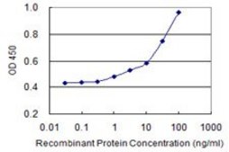 Monoclonal Anti-PANK3 antibody produced in mouse clone 3H4, purified immunoglobulin, buffered aqueous solution