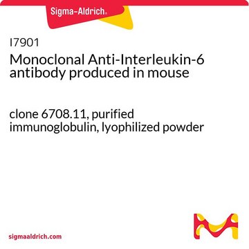 单克隆抗-白介素-6 小鼠抗 clone 6708.11, purified immunoglobulin, lyophilized powder