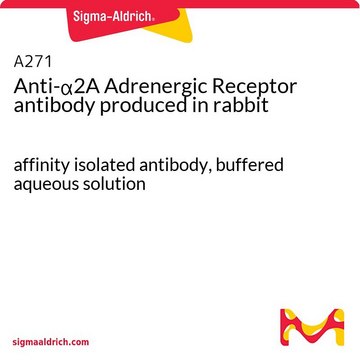 Anti-&#945;2A Adrenergic Receptor antibody produced in rabbit affinity isolated antibody, buffered aqueous solution