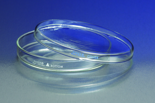 Pyrex&#174; petri dishes cover only, O.D. × H 60&#160;mm × 15&#160;mm