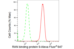 KD-Validated Anti RAN binding protein 9 Antibody, clone 23GB4120, Rabbit Monoclonal clone 23GB4120, recombinant rabbit monoclonal, expressed in HEK293 cells