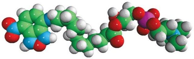 12:0 Lyso NBD PC Avanti Research&#8482; - A Croda Brand 810128P, powder