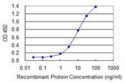 Monoclonal Anti-DLX6 antibody produced in mouse clone 2D7, purified immunoglobulin, buffered aqueous solution