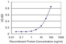 Monoclonal Anti-TUFT1 antibody produced in mouse clone 2C10, purified immunoglobulin, buffered aqueous solution