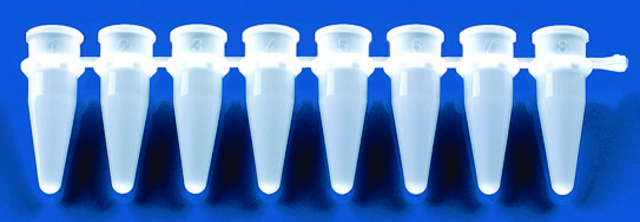 BRAND&#174; strips of 8 PCR tubes green, without caps