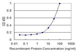 Monoclonal Anti-TRIB2 antibody produced in mouse clone 1D11, purified immunoglobulin, buffered aqueous solution