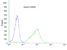 Anti-Keratin 17 antibody, Rabbit monoclonal clone SP95, recombinant, expressed in proprietary host, affinity isolated antibody