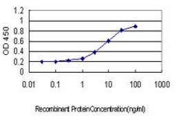 Monoclonal Anti-ATP2B1 antibody produced in mouse clone 3E2, purified immunoglobulin, buffered aqueous solution