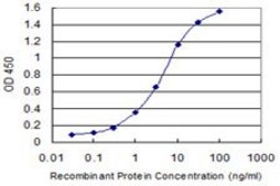 Monoclonal Anti-NAPG, (N-terminal) antibody produced in mouse clone 4B5, purified immunoglobulin, buffered aqueous solution