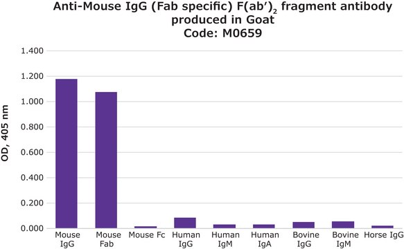 抗-小鼠IgG (Fab特异性) F(ab&#8242;)2片段 山羊抗 affinity isolated antibody