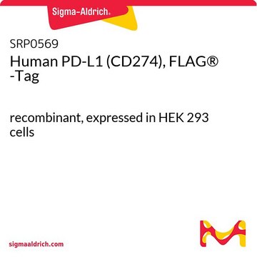 Human PD-L1 (CD274), FLAG&#174; -Tag recombinant, expressed in HEK 293 cells