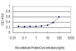 Monoclonal Anti-LFNG antibody produced in mouse clone 1F9, purified immunoglobulin, buffered aqueous solution