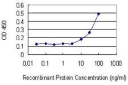 Monoclonal Anti-RAB13 antibody produced in mouse clone 8H8, purified immunoglobulin, buffered aqueous solution