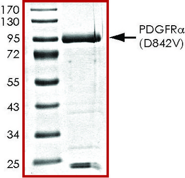 PDGFR-&#945; (D842V), active, GST tagged human PRECISIO&#174;, recombinant, expressed in baculovirus infected Sf9 cells, &#8805;70% (SDS-PAGE), buffered aqueous glycerol solution