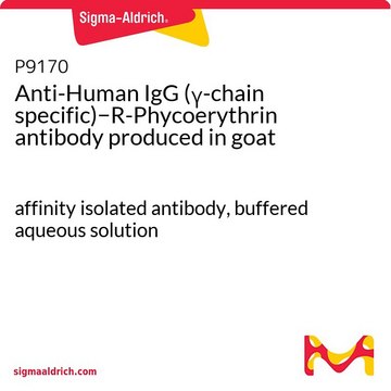 抗 人 IgG（&#947;-链特异性）-R- 藻红蛋白 山羊抗 affinity isolated antibody, buffered aqueous solution