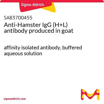 Anti-Hamster IgG (H+L) antibody produced in goat affinity isolated antibody, buffered aqueous solution