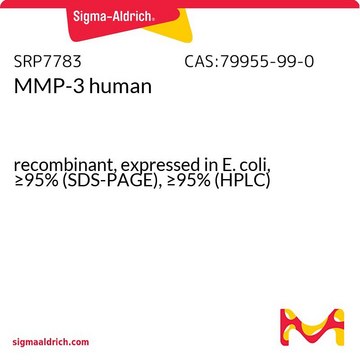 MMP-3 人 recombinant, expressed in E. coli, &#8805;95% (SDS-PAGE), &#8805;95% (HPLC)