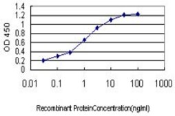 Monoclonal Anti-TAF11 antibody produced in mouse clone 3E7, purified immunoglobulin, buffered aqueous solution