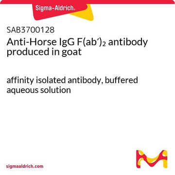 Anti-Horse IgG F(ab&#8242;)2 antibody produced in goat affinity isolated antibody, buffered aqueous solution