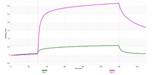 Anti-CHRNA1/ACHRA Antibody, clone 2G22 ZooMAb® Rabbit Monoclonal recombinant, expressed in HEK 293 cells
