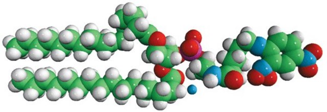 16:0 DNP Cap PE 1,2-dipalmitoyl-sn-glycero-3-phosphoethanolamine-N-[6-[(2,4-dinitrophenyl)amino]hexanoyl] (ammonium salt), powder