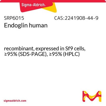 Endoglin human recombinant, expressed in Sf9 cells, &#8805;95% (SDS-PAGE), &#8805;95% (HPLC)