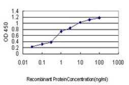Monoclonal Anti-UBB antibody produced in mouse clone 1F5, purified immunoglobulin, buffered aqueous solution