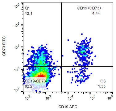 Monoclonal Anti-CD73 FITC produced in mouse