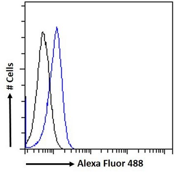 Anti-PLA2R1 antibody produced in goat affinity isolated antibody, buffered aqueous solution